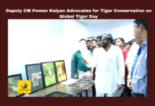 Deputy CM Pawan Kalyan Advocates For Tiger Conservation On Global Tiger Day,Conservation On Global Tiger Day,Deputy CM Pawan Kalyan Advocates For Tiger Conservation ,Deputy CM Pawan Kalyan,Tiger Conservation ,Global Tiger Day,Conservation, Pawan Kalyan, Ecological Balance,Environment, Forest Protection, Global Tiger Day ,AP Live Updates, AP Politics, Political News, Mango News,