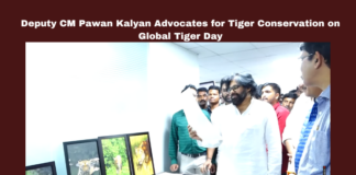 Deputy CM Pawan Kalyan Advocates For Tiger Conservation On Global Tiger Day,Conservation On Global Tiger Day,Deputy CM Pawan Kalyan Advocates For Tiger Conservation ,Deputy CM Pawan Kalyan,Tiger Conservation ,Global Tiger Day,Conservation, Pawan Kalyan, Ecological Balance,Environment, Forest Protection, Global Tiger Day ,AP Live Updates, AP Politics, Political News, Mango News,