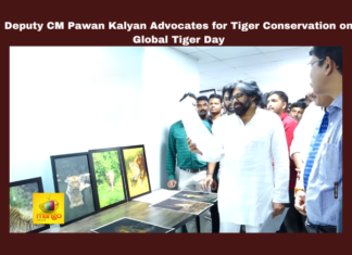 Deputy CM Pawan Kalyan Advocates For Tiger Conservation On Global Tiger Day,Conservation On Global Tiger Day,Deputy CM Pawan Kalyan Advocates For Tiger Conservation ,Deputy CM Pawan Kalyan,Tiger Conservation ,Global Tiger Day,Conservation, Pawan Kalyan, Ecological Balance,Environment, Forest Protection, Global Tiger Day ,AP Live Updates, AP Politics, Political News, Mango News,