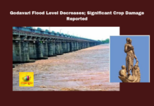 Godavari Flood Level Decreases Significant Crop Damage Reported,Flood Level Decreases Significant Crop Damage Reported,Godavari Flood Level Decreases, Flood Level Decreases,Flood Level,Godavari Flood Level,Godavari, Agriculture Damage, East Godavari district, Flood Relief, Godavari Floods, Konaseema, Rajamahendravaram,Assembly Session 2024, AP Assembly Session, AP Live Updates, AP Politics, Political News, Mango News,