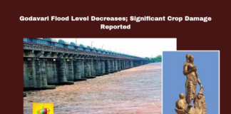 Godavari Flood Level Decreases Significant Crop Damage Reported,Flood Level Decreases Significant Crop Damage Reported,Godavari Flood Level Decreases, Flood Level Decreases,Flood Level,Godavari Flood Level,Godavari, Agriculture Damage, East Godavari district, Flood Relief, Godavari Floods, Konaseema, Rajamahendravaram,Assembly Session 2024, AP Assembly Session, AP Live Updates, AP Politics, Political News, Mango News,