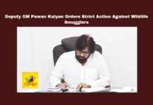 Deputy CM Pawan Kalyan Orders Strict Action Against Wildlife Smugglers,Pawan Kalyan Orders Strict Action Against Wildlife Smugglers,Strict Action Against Wildlife Smugglers,Deputy CM Pawan Kalyan Orders Strict Action,Deputy CM Pawan Kalyan,Pawan Kalyan,Wildlife Smugglers,Janasena, Anti Poaching Measures, Deputy Chief Minister, Environment and Forests, Palnadu District, wildlife protection,,Assembly Session 2024, AP Assembly Session, AP Live Updates, AP Politics, Political News, Mango News,