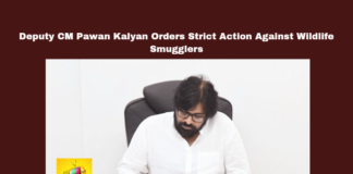 Deputy CM Pawan Kalyan Orders Strict Action Against Wildlife Smugglers,Pawan Kalyan Orders Strict Action Against Wildlife Smugglers,Strict Action Against Wildlife Smugglers,Deputy CM Pawan Kalyan Orders Strict Action,Deputy CM Pawan Kalyan,Pawan Kalyan,Wildlife Smugglers,Janasena, Anti Poaching Measures, Deputy Chief Minister, Environment and Forests, Palnadu District, wildlife protection,,Assembly Session 2024, AP Assembly Session, AP Live Updates, AP Politics, Political News, Mango News,