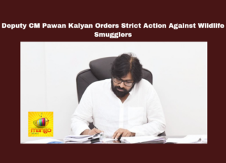 Deputy CM Pawan Kalyan Orders Strict Action Against Wildlife Smugglers,Pawan Kalyan Orders Strict Action Against Wildlife Smugglers,Strict Action Against Wildlife Smugglers,Deputy CM Pawan Kalyan Orders Strict Action,Deputy CM Pawan Kalyan,Pawan Kalyan,Wildlife Smugglers,Janasena, Anti Poaching Measures, Deputy Chief Minister, Environment and Forests, Palnadu District, wildlife protection,,Assembly Session 2024, AP Assembly Session, AP Live Updates, AP Politics, Political News, Mango News,