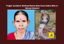 Tragic Incident Retired Caretaker Dies From Cobra Bite In Nirmal District,Cobra Bite In Nirmal District,Tragic Incident Retired Caretaker Dies From Cobra Bite ,Cobra Bite,Retired Caretaker Dies, Retired Caretaker, Alugula Gangavva, local news, Medical Emergency, Nirmal district, Retired Nurse, Tragic Incident,Live Updates,Politics,Political News, Mango News,