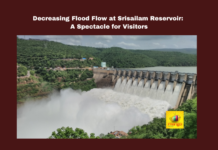 Decreasing Flood Flow At Srisailam Reservoir A Spectacle For Visitors ,Srisailam Reservoir A Spectacle For Visitors,Decreasing Flood Flow ,Decreasing Flood Flow At Srisailam,Flood Flow At Srisailam Reservoir, Srisailam Reservoir A Spectacle For Visitors,Srisailam Reservoir,Flood, Flood Flow, Hydropower Generation, Nagarjuna Sagar, Srisailam Reservoir, Sunnipenta Circle, Traffic Congestion, Visitor Attraction, Water Release, Political News, Mango News,