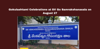 Gokulashtami Celebrations at SV Go Samrakshanasala on August 27, Gokulashtami Celebrations, Gokulashtami Celebrations at SV Go Samrakshanasala, Cultural Programs, Gokulashtami, Sri Krishna Jayanti, SV Go Samrakshanasala, Tirumala, TTD, TTD Dasa Sahitya Project., Vedic School, CM Chandrababu Naidu, Pawan Kalyan, AP Live Updates, AP Politics, Political News, Mango News