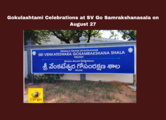 Gokulashtami Celebrations at SV Go Samrakshanasala on August 27, Gokulashtami Celebrations, Gokulashtami Celebrations at SV Go Samrakshanasala, Cultural Programs, Gokulashtami, Sri Krishna Jayanti, SV Go Samrakshanasala, Tirumala, TTD, TTD Dasa Sahitya Project., Vedic School, CM Chandrababu Naidu, Pawan Kalyan, AP Live Updates, AP Politics, Political News, Mango News