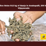 Police Seize 912 kg of Ganja in Anakapalli, 200 kg in Vijayawada, Police Seize 912 kg of Ganja, Ganja in Anakapalli, Anakapalli Ganja Seizure, Vijayawada Drug Crackdown, Odisha to AP Ganja Transport, SP Deepika, DCP Harikrishna, Drug Trafficking, Public Awareness, Andhra Pradesh Police, Ganja Arrests, CM Chandrababu Naidu, Pawan Kalyan, AP Live Updates, AP Politics, Political News, Mango News