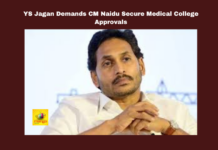 YS Jagan Demands CM Naidu Secure Medical College Approvals, YS Jagan Demands CM Naidu, Secure Medical College Approvals, YS Jagan Mohan Reddy, Chandrababu Naidu, Medical Colleges, Andhra Pradesh, Healthcare Reforms, YSRCP, Public Health Infrastructure, CM Chandrababu Naidu, Pawan Kalyan, AP Live Updates, AP Politics, Political News, Mango News