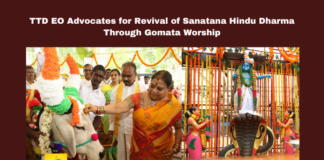 TTD EO Advocates for Revival of Sanatana Hindu Dharma Through Gomata Worship, TTD EO Advocates for Revival of Sanatana Hindu Dharma, Sanatana Hindu Dharma Through Gomata Worship, Tirupati, TTD, Sanatana Dharma, Gomata Worship, Gokulashtami, Agricultural Prosperity, Cultural Programs, Vedic Traditions, Hindu Rituals, Religious Festival, CM Chandrababu Naidu, Pawan Kalyan, AP Live Updates, AP Politics, Political News, Mango News