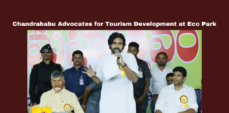 Chandrababu Advocates for Tourism Development at Eco Park, Tourism Development at Eco Park, Chandrababu Naidu, Pawan Kalyan, Eco Park, Vanamahotsava, Tourism Development, Green Cover, Environmental Protection, YSRCP, Plantation Drive, Amaravati, AP Live Updates, AP Politics, Political News, Live Updates, Breaking News, Headlines, Live News, Mango News