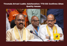 Tirumala, laddu, adulteration, TTD, ghee quality issue, Shyamala Rao statement, NDDB lab results, Srivari Maha Prasadam