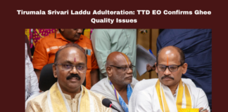 Tirumala, laddu, adulteration, TTD, ghee quality issue, Shyamala Rao statement, NDDB lab results, Srivari Maha Prasadam