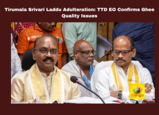 Tirumala, laddu, adulteration, TTD, ghee quality issue, Shyamala Rao statement, NDDB lab results, Srivari Maha Prasadam