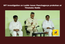 SIT Investigation On Laddu Issue: Panchagavya Prokshan At Tirumala: Naidu, SIT Investigation On Laddu Issue, Panchagavya Prokshan At Tirumala, Chandrababu Naidu, Tirumala Laddu Controversy, YSRCP, Srivari Prasad, Religious Harmony, Shanti Homa, VIP Tickets, TTD, TTD Laddu Issue, Tirupati Laddu Controversy, Animal Fat Used In Tirupati Laddu, YCP, Thirumala Laddu, Thirumala News, TTD, Tirumala, Tirumala Tirupati, Venkateswara Swamy, Tirupati, Latest Tirupati News, Andhra Pradesh, AP Live Updates, Live Updates, Breaking News, Headlines, Live News, Mango News, Mango News Telugu