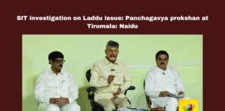 SIT Investigation On Laddu Issue: Panchagavya Prokshan At Tirumala: Naidu, SIT Investigation On Laddu Issue, Panchagavya Prokshan At Tirumala, Chandrababu Naidu, Tirumala Laddu Controversy, YSRCP, Srivari Prasad, Religious Harmony, Shanti Homa, VIP Tickets, TTD, TTD Laddu Issue, Tirupati Laddu Controversy, Animal Fat Used In Tirupati Laddu, YCP, Thirumala Laddu, Thirumala News, TTD, Tirumala, Tirumala Tirupati, Venkateswara Swamy, Tirupati, Latest Tirupati News, Andhra Pradesh, AP Live Updates, Live Updates, Breaking News, Headlines, Live News, Mango News, Mango News Telugu