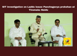 SIT Investigation On Laddu Issue: Panchagavya Prokshan At Tirumala: Naidu, SIT Investigation On Laddu Issue, Panchagavya Prokshan At Tirumala, Chandrababu Naidu, Tirumala Laddu Controversy, YSRCP, Srivari Prasad, Religious Harmony, Shanti Homa, VIP Tickets, TTD, TTD Laddu Issue, Tirupati Laddu Controversy, Animal Fat Used In Tirupati Laddu, YCP, Thirumala Laddu, Thirumala News, TTD, Tirumala, Tirumala Tirupati, Venkateswara Swamy, Tirupati, Latest Tirupati News, Andhra Pradesh, AP Live Updates, Live Updates, Breaking News, Headlines, Live News, Mango News, Mango News Telugu