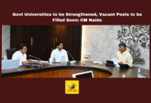 Govt Universities to be Strengthened, Vacant Posts to be Filled Soon: CM Naidu, Govt Universities, Higher Education, CM Chandrababu Naidu, AI University, Public Universities, Vacant Teaching Posts, PPP Model, Andhra Pradesh, AP Live Updates, Live Updates, Breaking News, Headlines, Live News, Mango News