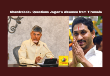 Chandrababu Questions Jagan's Absence from Tirumala, Chandrababu Questions Jagan, Jagan's Absence from Tirumala, Chandrababu Naidu, Jagan Mohan Reddy, Tirumala, Religious Harmony, Temple Declaration, Andhra Pradesh Politics, YSRCP, TTD, Ghee Adulteration, Lord Venkateswara, Andhra Pradesh, AP Live Updates, Live Updates, Breaking News, Headlines, Live News, Mango News
