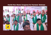 Harish Rao Slams Congress for Farmers' Distress, Harish Rao, BRS, Congress, Telangana, farmers, debt relief, KCR, Kaleshwaram project, dharna, protest, agriculture, rural distress, loan waiver, Telangana, TS Live Updates, TS Political News, Political News, Mango News
