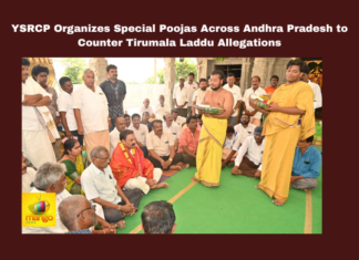 YSRCP Organizes Special Poojas Across Andhra Pradesh to Counter Tirumala Laddu Allegations, Tirumala Laddu Allegations, Tirumala Laddu Allegations, YSRCP Special Poojas, Chandrababu Naidu, TTD Prasadam, Andhra Pradesh, Political Controversy, YS Jagan Mohan Reddy, Andhra Pradesh Politics, Andhra Pradesh, AP Live Updates, Live Updates, Breaking News, Headlines, Live News, Mango News
