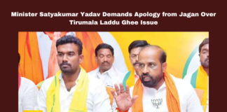 Minister Satyakumar Yadav Demands Apology from Jagan Over Tirumala Laddu Ghee Issue, Jagan Mohan Reddy, Tirumala Laddu, Satyakumar Yadav, Adulterated Ghee, TTD Controversy, Andhra Pradesh, TTD, Tirumala, Srivari Laddu, Andhra Pradesh, AP Live Updates, Live Updates, Breaking News, Headlines, Live News, Mango News