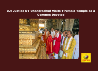 CJI Justice DY Chandrachud Visits Tirumala Temple as a Common Devotee,AP High Court, CJI Chandrachud, Justice DY Chandrachud, Lord Venkateswara, tirumala, Tirupati Temple, TTD, Vaikuntham Queue,Mango News,CJI Justice DY Chandrachud,Tirumala Temple,CJI Justice DY Chandrachud Visits Tirumala Temple,Tirumala,CJI Justice DY Chandrachud Latest News,CJI Justice DY Chandrachud News,CJI Justice DY Chandrachud Tirumala Temple Visit,CJI Chandrachud offers prayers at Tirumala Temple,Supreme Court Chief Justice DY Chandrachud offers prayers at Tirumala,CJI DY Chandrachud Visits Tirumala Temple,Cji Dy Chandrachud Offers Prayers At Tirumala Temple,Supreme Court Judge Justice DY Chandrachud Visited Tirumala Temple,Supreme Court Judge Justice DY Chandrachud,Chief Justice of India Visits Tirumala Temple