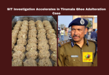 SIT Investigation Accelerates in Tirumala Ghee Adulteration Case, Tirumala Ghee Adulteration Case, Tirumala Ghee Adulteration, SIT Investigation, AR Dairy, TTD, Food Safety Act, Tender Process, Tirupati Crime News, SIT Investigation Accelerates, Andhra Pradesh, TTD, Tirumala, Srivari Laddu, Andhra Pradesh, AP Live Updates, Live Updates, Breaking News, Headlines, Live News, Mango News