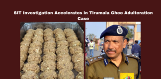 SIT Investigation Accelerates in Tirumala Ghee Adulteration Case, Tirumala Ghee Adulteration Case, Tirumala Ghee Adulteration, SIT Investigation, AR Dairy, TTD, Food Safety Act, Tender Process, Tirupati Crime News, SIT Investigation Accelerates, Andhra Pradesh, TTD, Tirumala, Srivari Laddu, Andhra Pradesh, AP Live Updates, Live Updates, Breaking News, Headlines, Live News, Mango News