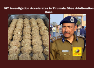 SIT Investigation Accelerates in Tirumala Ghee Adulteration Case, Tirumala Ghee Adulteration Case, Tirumala Ghee Adulteration, SIT Investigation, AR Dairy, TTD, Food Safety Act, Tender Process, Tirupati Crime News, SIT Investigation Accelerates, Andhra Pradesh, TTD, Tirumala, Srivari Laddu, Andhra Pradesh, AP Live Updates, Live Updates, Breaking News, Headlines, Live News, Mango News
