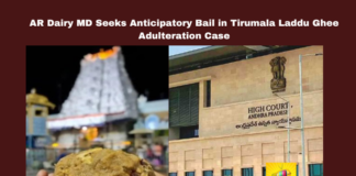 AR Dairy MD Seeks Anticipatory Bail in Tirumala Laddu Ghee Adulteration Case, Tirumala Laddu Ghee Adulteration Case, AR Dairy MD Seeks Anticipatory Bail, Tirumala Laddu, Ghee Adulteration, AR Dairy, Rajasekaran, Anticipatory Bail, Tirupati News, High Court Case, Andhra Pradesh, AP Live Updates, Live Updates, Breaking News, Headlines, Live News, Mango News