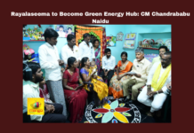 Rayalaseema To Become Green Energy Hub: CM Chandrababu Naidu, Rayalaseema Green Energy, Chandrababu Naidu Announcements, Kurnool Development, Andhra Pradesh Welfare Schemes, Solar And Wind Power, NTR Bharosa Scheme, Employment Opportunities Rayalaseema, Irrigation Projects AP, Industrial Hub Orvakallu, Andhra Pradesh Infrastructure, Andhra Pradesh, AP Live Updates, Mango News