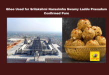 Ghee Used for Srilakshmi Narasimha Swamy Laddu Prasadam Confirmed Pure, Yadagirigutta, Sri Lakshmi Narasimha Swamy, Laddu Prasadam, Ghee Quality, Mother Dairy, Vijaya Dairy, Temple News, Bhaskar Rao, Nacharam Lab, Laddu Prasadam Confirmed Pure, Ghee Used for Srilakshmi Narasimha Swamy, Telangana, TS Live Updates, TS Political News, Political News, Mango News