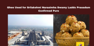 Ghee Used for Srilakshmi Narasimha Swamy Laddu Prasadam Confirmed Pure, Yadagirigutta, Sri Lakshmi Narasimha Swamy, Laddu Prasadam, Ghee Quality, Mother Dairy, Vijaya Dairy, Temple News, Bhaskar Rao, Nacharam Lab, Laddu Prasadam Confirmed Pure, Ghee Used for Srilakshmi Narasimha Swamy, Telangana, TS Live Updates, TS Political News, Political News, Mango News