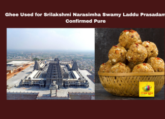 Ghee Used for Srilakshmi Narasimha Swamy Laddu Prasadam Confirmed Pure, Yadagirigutta, Sri Lakshmi Narasimha Swamy, Laddu Prasadam, Ghee Quality, Mother Dairy, Vijaya Dairy, Temple News, Bhaskar Rao, Nacharam Lab, Laddu Prasadam Confirmed Pure, Ghee Used for Srilakshmi Narasimha Swamy, Telangana, TS Live Updates, TS Political News, Political News, Mango News
