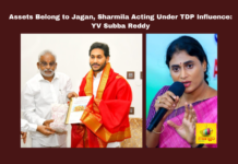 Assets Belong to Jagan, Sharmila Acting Under TDP Influence: YV Subba Reddy, YS Jagan assets, YS Sharmila controversy, YSRCP family dispute, Chandrababu Naidu influence, YV Subba Reddy statement, YSRCP asset clarification, Perni Nani remarks, NCLT asset case, Andhra Pradesh politics, YS Rajasekhara Reddy legacy, Andhra Pradesh, AP Live Updates, Live Updates, Breaking News, Headlines, Live News, Mango News