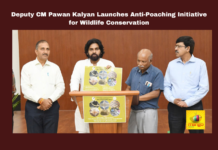 Deputy CM Pawan Kalyan Launches Anti-Poaching Initiative for Wildlife Conservation, Pawan Kalyan, Wildlife Conservation, Anti-Poaching, Forest Department, Wildlife Smuggling, Leopard Poaching, Janasena Party, Environmental Protection, Toll-Free Wildlife Hotline, Andhra Pradesh, AP Live Updates, Live Updates, Breaking News, Headlines, Live News, Mango News
