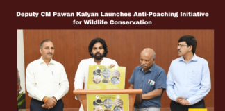 Deputy CM Pawan Kalyan Launches Anti-Poaching Initiative for Wildlife Conservation, Pawan Kalyan, Wildlife Conservation, Anti-Poaching, Forest Department, Wildlife Smuggling, Leopard Poaching, Janasena Party, Environmental Protection, Toll-Free Wildlife Hotline, Andhra Pradesh, AP Live Updates, Live Updates, Breaking News, Headlines, Live News, Mango News