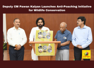 Deputy CM Pawan Kalyan Launches Anti-Poaching Initiative for Wildlife Conservation, Pawan Kalyan, Wildlife Conservation, Anti-Poaching, Forest Department, Wildlife Smuggling, Leopard Poaching, Janasena Party, Environmental Protection, Toll-Free Wildlife Hotline, Andhra Pradesh, AP Live Updates, Live Updates, Breaking News, Headlines, Live News, Mango News