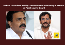 Kakani Govardhan Reddy Condemns MLA Somireddy's Assault on Port Security Guard, Kakani Govardhan Reddy, Somireddy Chandramohan Reddy, Krishnapatnam Port, assault, Andhra Pradesh, investment climate, privatization, public assets, media access, Chandrababu Naidu, Andhra Pradesh, AP Live Updates, Live Updates, Breaking News, Headlines, Live News, Mango News