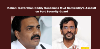 Kakani Govardhan Reddy Condemns MLA Somireddy's Assault on Port Security Guard, Kakani Govardhan Reddy, Somireddy Chandramohan Reddy, Krishnapatnam Port, assault, Andhra Pradesh, investment climate, privatization, public assets, media access, Chandrababu Naidu, Andhra Pradesh, AP Live Updates, Live Updates, Breaking News, Headlines, Live News, Mango News