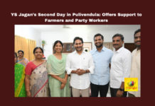 YS Jagan’s Second Day in Pulivendula: Offers Support to Farmers and Party Workers , YS Jagan, Pulivendula visit, onion farmers, Minimum Support Price, YSR Congress Party, farmer welfare, YSRCP party workers, coalition government, resilience, local engagement , Breaking news , Live updates , Headlines , Pulivendula , Ap live updates , Andhrapradesh , Mango News