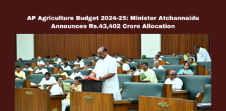 AP Agriculture Budget 2024-25: Minister Atchannaidu Announces Rs.43,402 Crore Allocation