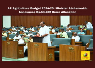 AP Agriculture Budget 2024-25: Minister Atchannaidu Announces Rs.43,402 Crore Allocation
