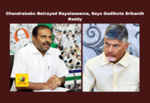 Chandrababu Betrayed Rayalaseema, Says Gadikota Srikanth Reddy, Gadikota Srikanth Reddy, Chandrababu Naidu, Rayalaseema, Sribagh Agreement, Kurnool High Court, Handri-Neeva Project, Galeru-Nagari Project, Polavaram Dam, YSRCP, Andhra Pradesh politics, Chandrababu, Andhra Pradesh, AP Live Updates, Live Updates, Breaking News, Headlines, Live News, Mango News