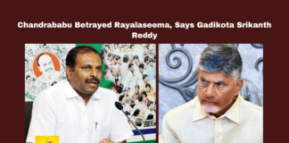 Chandrababu Betrayed Rayalaseema, Says Gadikota Srikanth Reddy, Gadikota Srikanth Reddy, Chandrababu Naidu, Rayalaseema, Sribagh Agreement, Kurnool High Court, Handri-Neeva Project, Galeru-Nagari Project, Polavaram Dam, YSRCP, Andhra Pradesh politics, Chandrababu, Andhra Pradesh, AP Live Updates, Live Updates, Breaking News, Headlines, Live News, Mango News