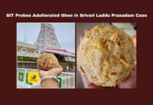 SIT Probes Adulterated Ghee in Srivari Laddu Prasadam Case, Srivari Laddu ghee adulteration, TTD investigation, Tirumala ghee case, Supreme Court orders, CBI investigation, Tirupati East Police case, SIT probe updates, Dindigul AR Dairy inquiry, TTD marketing warehouse inspection, Tirumala prasadam quality, CM Chandrababu, Andhra Pradesh, AP Live Updates, Live Updates, Breaking News, Headlines, Live News, Mango News