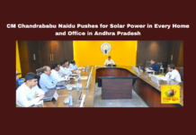 CM Chandrababu Naidu Pushes for Solar Power in Every Home and Office in Andhra Pradesh, Chandrababu Naidu, solar power, Andhra Pradesh solarisation, renewable energy, solar energy adoption, PM Surya Ghar, Kusum scheme, Kuppam project, solar energy revenue, government initiatives, CM Chandrababu, Andhra Pradesh, AP Live Updates, Live Updates, Breaking News, Headlines, Live News, Mango News