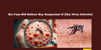 Six-Year-Old Nellore Boy Suspected of Zika Virus Infection, Zika virus, Nellore news, Andhra Pradesh health, Venkatapuram village, WHO alert, viral infection, medical camp, Chennai Egmore Hospital, Zika virus symptoms, Andhra Pradesh health department, Andhra Pradesh, AP Live Updates, Live Updates, Breaking News, Headlines, Live News, Mango News